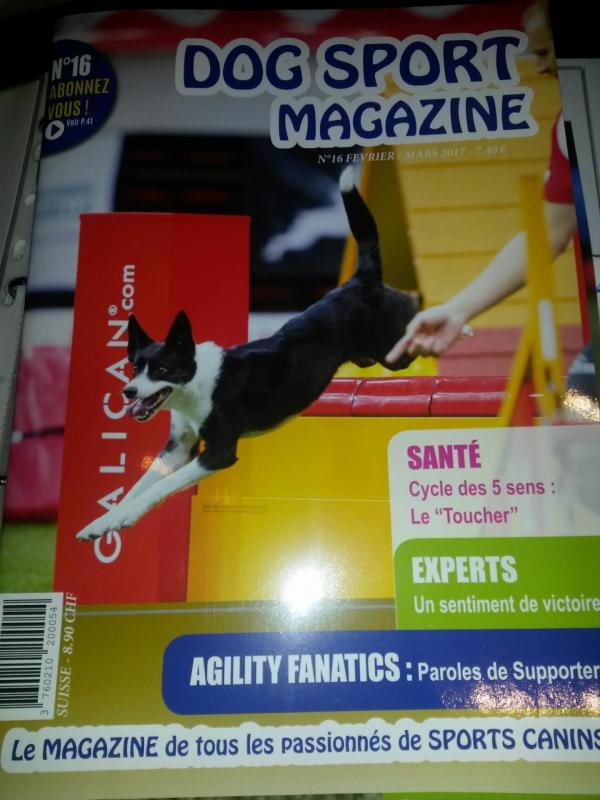 Dog sport magasine