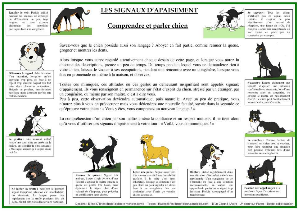 Signaux d apaisement