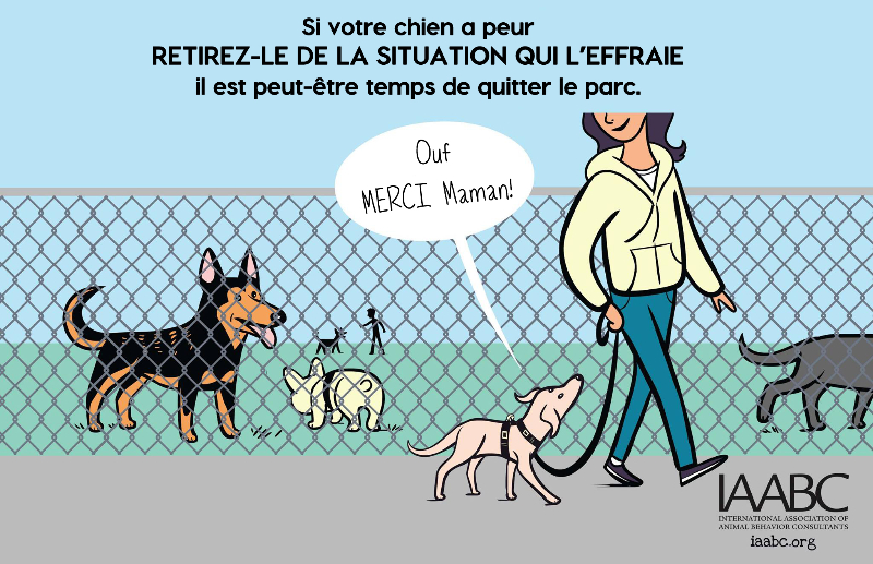 Votre chien a t il peur2